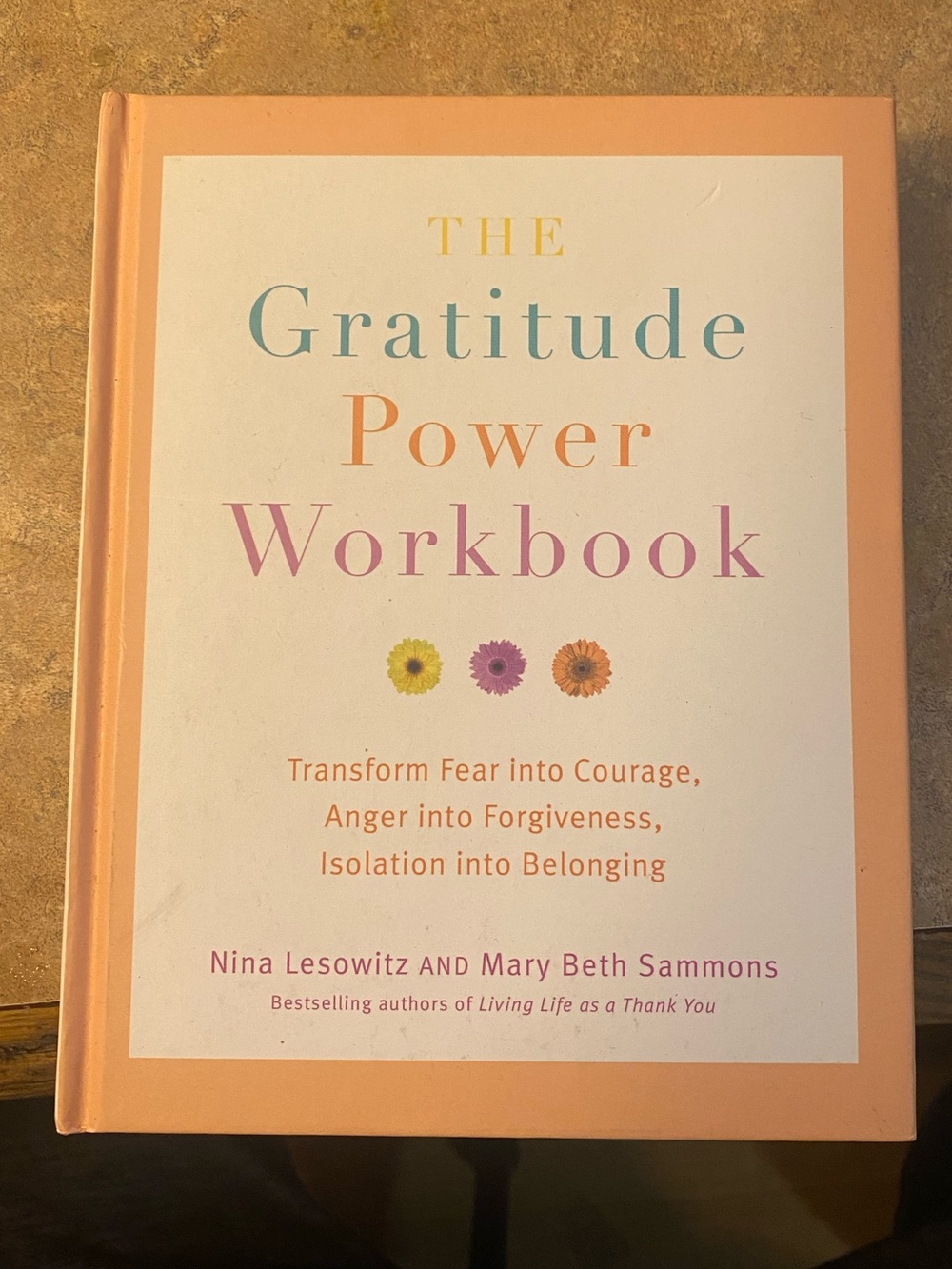 The Gratitude Power Workbook